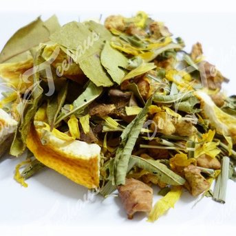 KT Quelle des Glücks naturbelassen