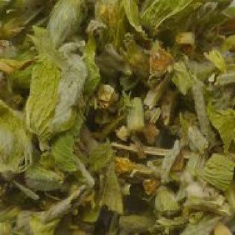 KT Griechischer Bergtee Minze