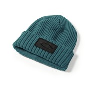 Oakley Dead Tree Cuff Beanie Aurora Blue