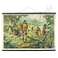 Vintage schoolplaat Jungle mensapen
