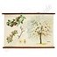 Vintage botanische schoolplaat 'Appelboom'