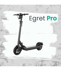 Egret Pro ♦  "Sales like a Pro"  Spare 700 € ♦
