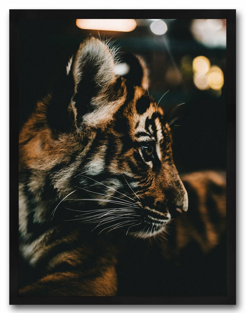 livstil Baby Tiger