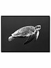 livstil Turtle Dark Ocean