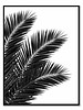 livstil Palm Leaves - Rechts