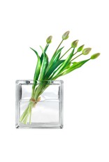 Bouwglas Hobby glasblok zonder verf met opening