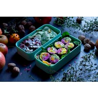 thumb-Bento Box Original (Green Natural/Groen)-6