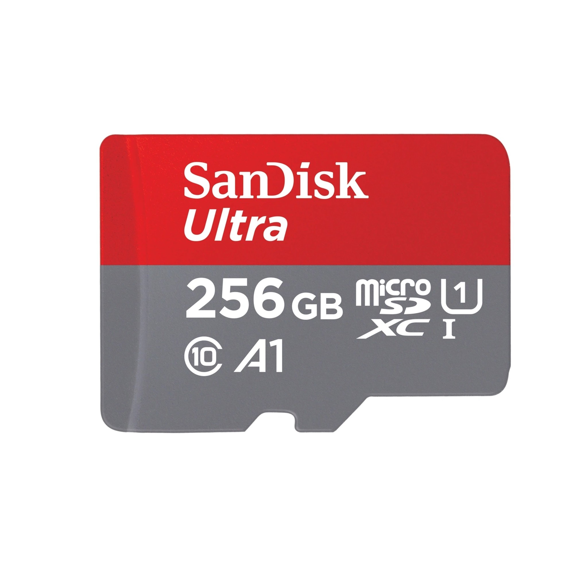 Verward schrobben auditie SanDisk Micro SD HC-kaart 256 GB Class 10 - Rietveld Webshop