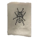 Nadesign Poster olifantenpoep papier - poster Bug /  Vlieg