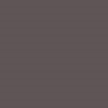 P48 AUBERGINE Wall Matt - Flamant verf-1