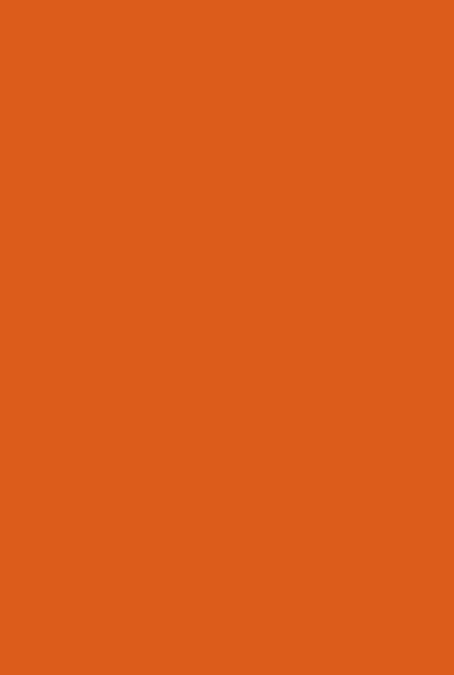 Flamant Wall & Wood Satin 226 TANGERINE