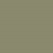 P75 OLIVE Wall & Wood Satin - Flamant verf-1