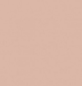 242 DIVA Lack Matt - Flamant verf-1