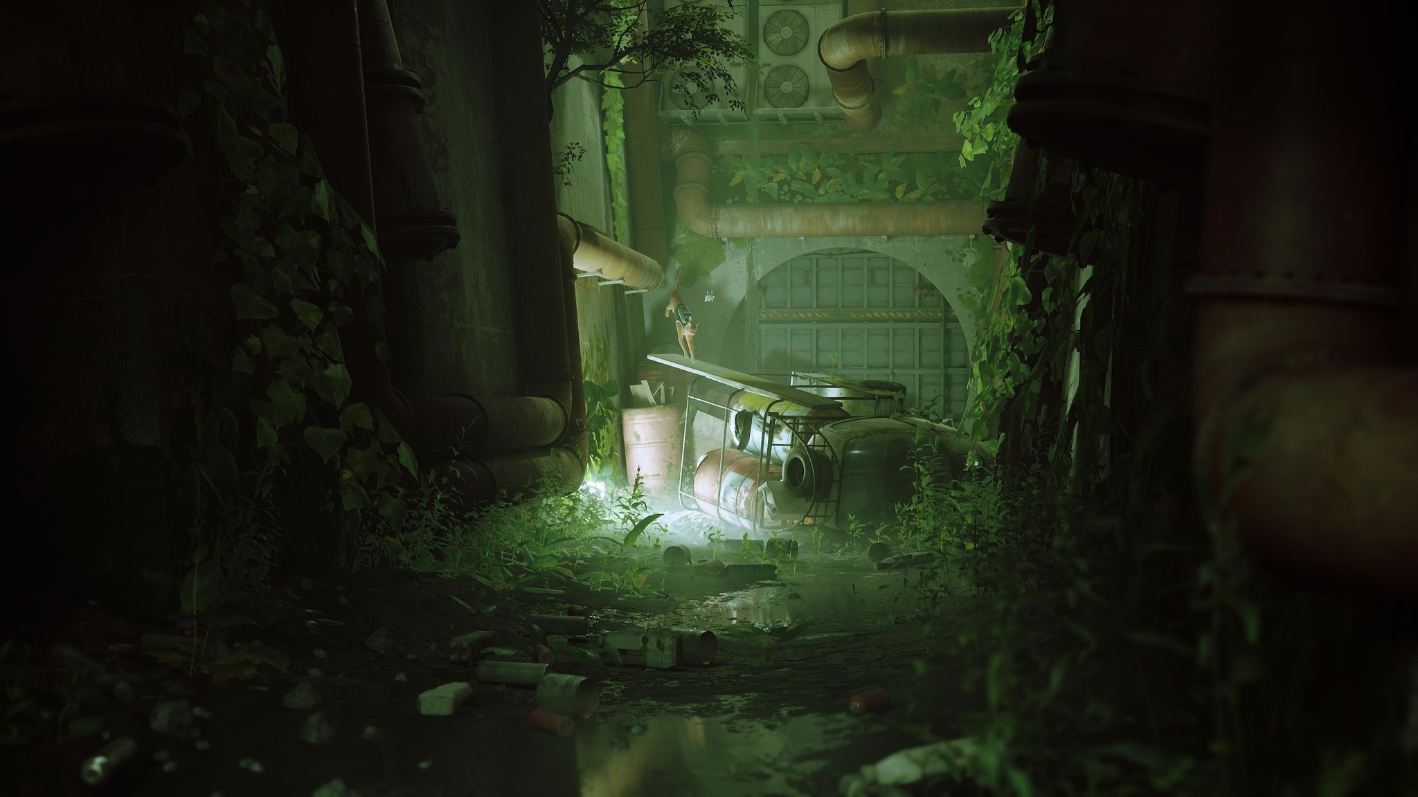 Stray - PS5