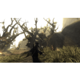 Risen - PS4