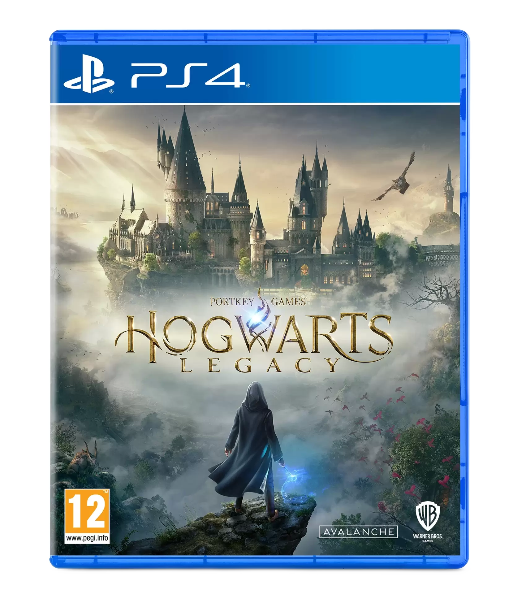 Haast je Menagerry Converteren Hogwarts Legacy kopen | PS4 - GameResource