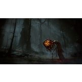 Elden Ring: Shadow of the Erdtree - Collector's Edition - PS5