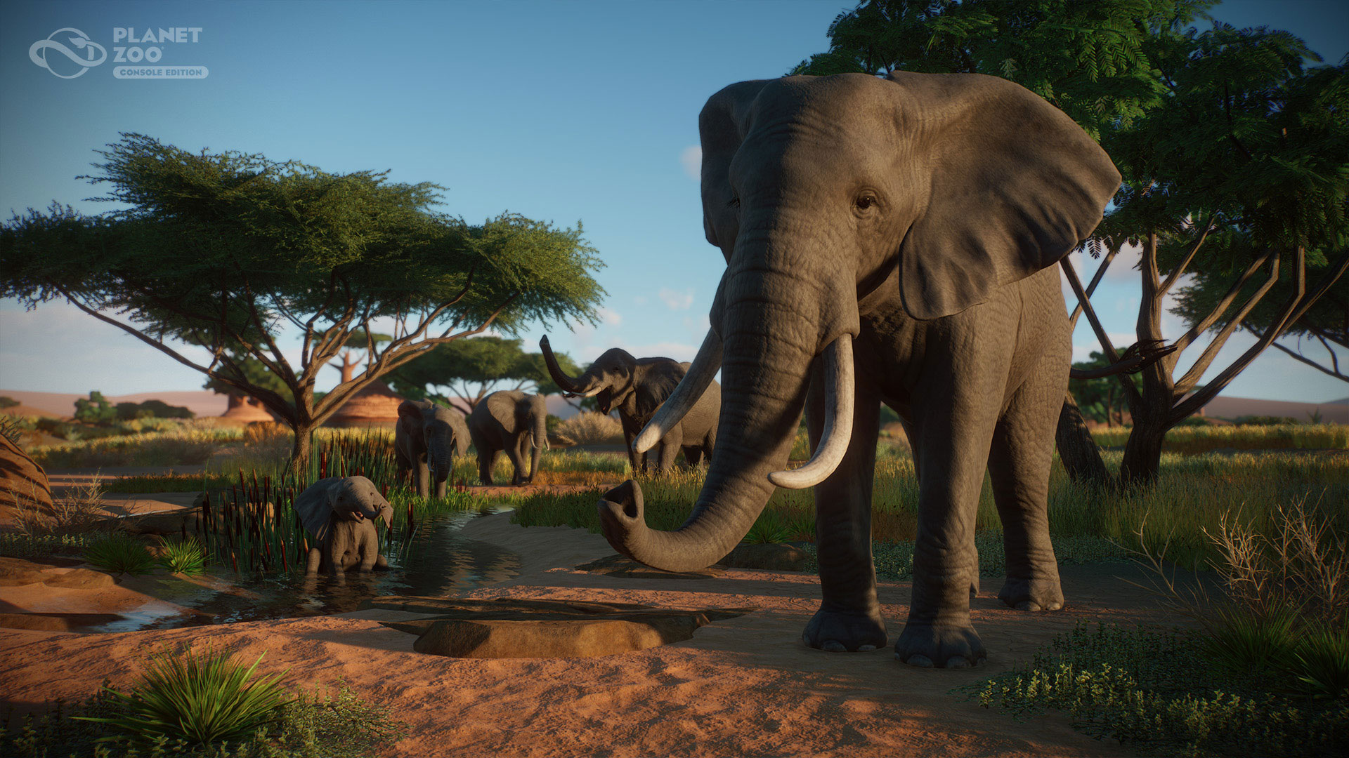 Planet Zoo - Console Edition - PS5