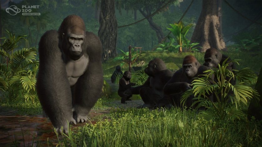 Planet Zoo - Console Edition - PS5