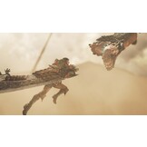 Monster Hunter Wilds - PS5