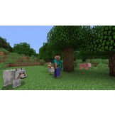 Minecraft - PS4