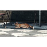 Xenoblade Chronicles X - Definitive Edition - Nintendo Switch