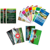 Monopoly Pokémon Edition (Englisch)