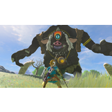 The Legend of Zelda: Breath of the Wild - Nintendo Switch 2