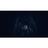 REANIMAL + Pre-Order Bonus -  Deluxe Edition - Nintendo Switch 2