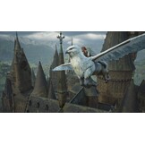 Hogwarts Legacy - Nintendo Switch 2