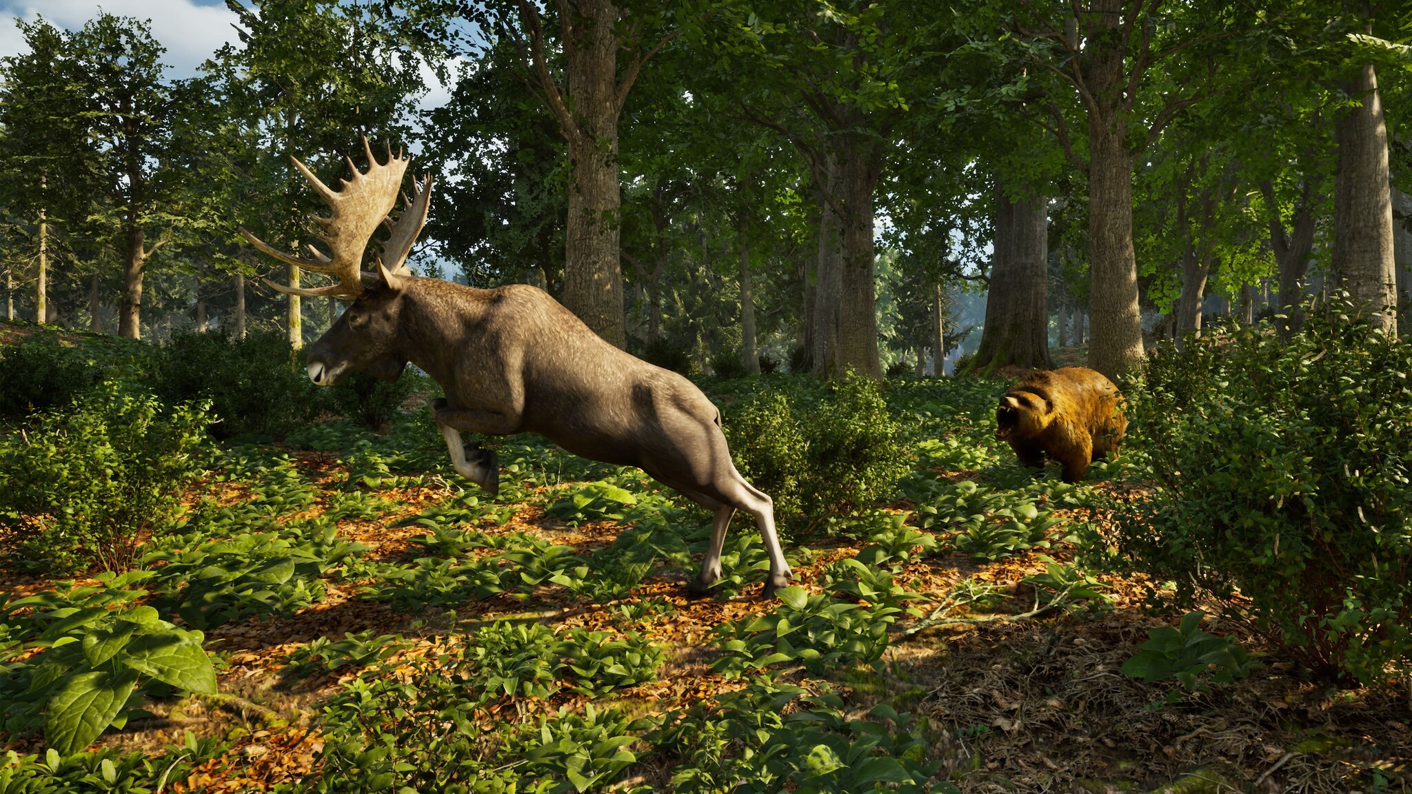 Park Ranger Simulator - PS5