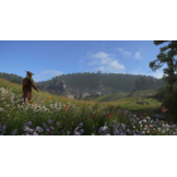 Kingdom Come Deliverance Royal Edition - PS5