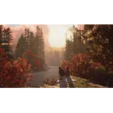 Life is Strange 2 (Code in a Box) – Nintendo Switch