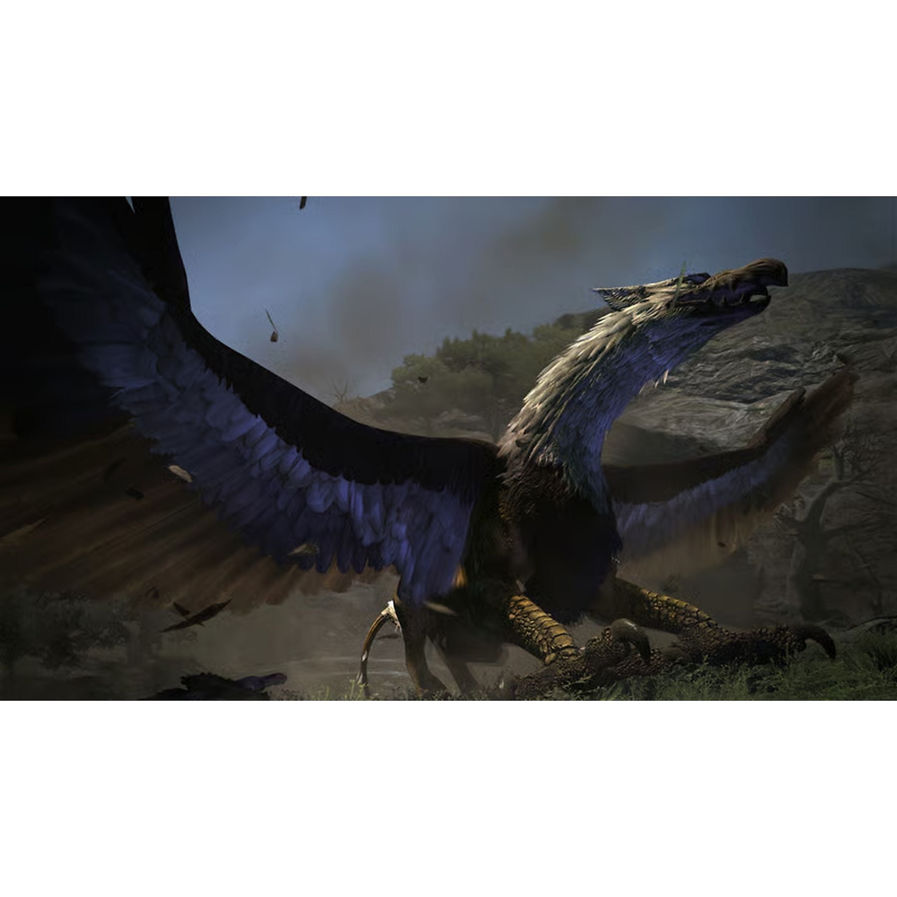 Dragon's Dogma Dark Arisen (Code in a Box) - Nintendo Switch