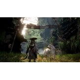 Beast of Reincarnation - PS5