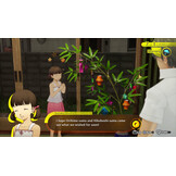 Persona 4 Revival (Code in a Box) + Pre-Order Bonus - PC
