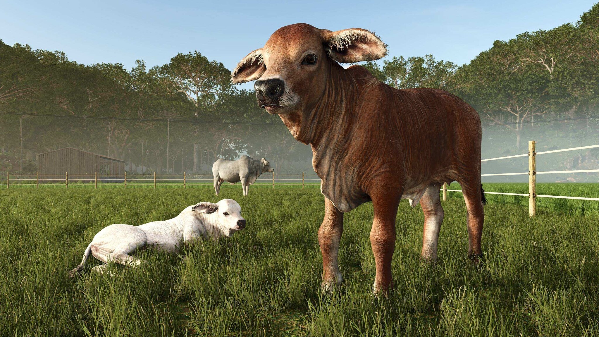 Farming Simulator 25 - Beans & Alpacas Edition - PC