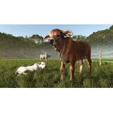 Farming Simulator 25 - Beans & Alpacas Edition - PS5