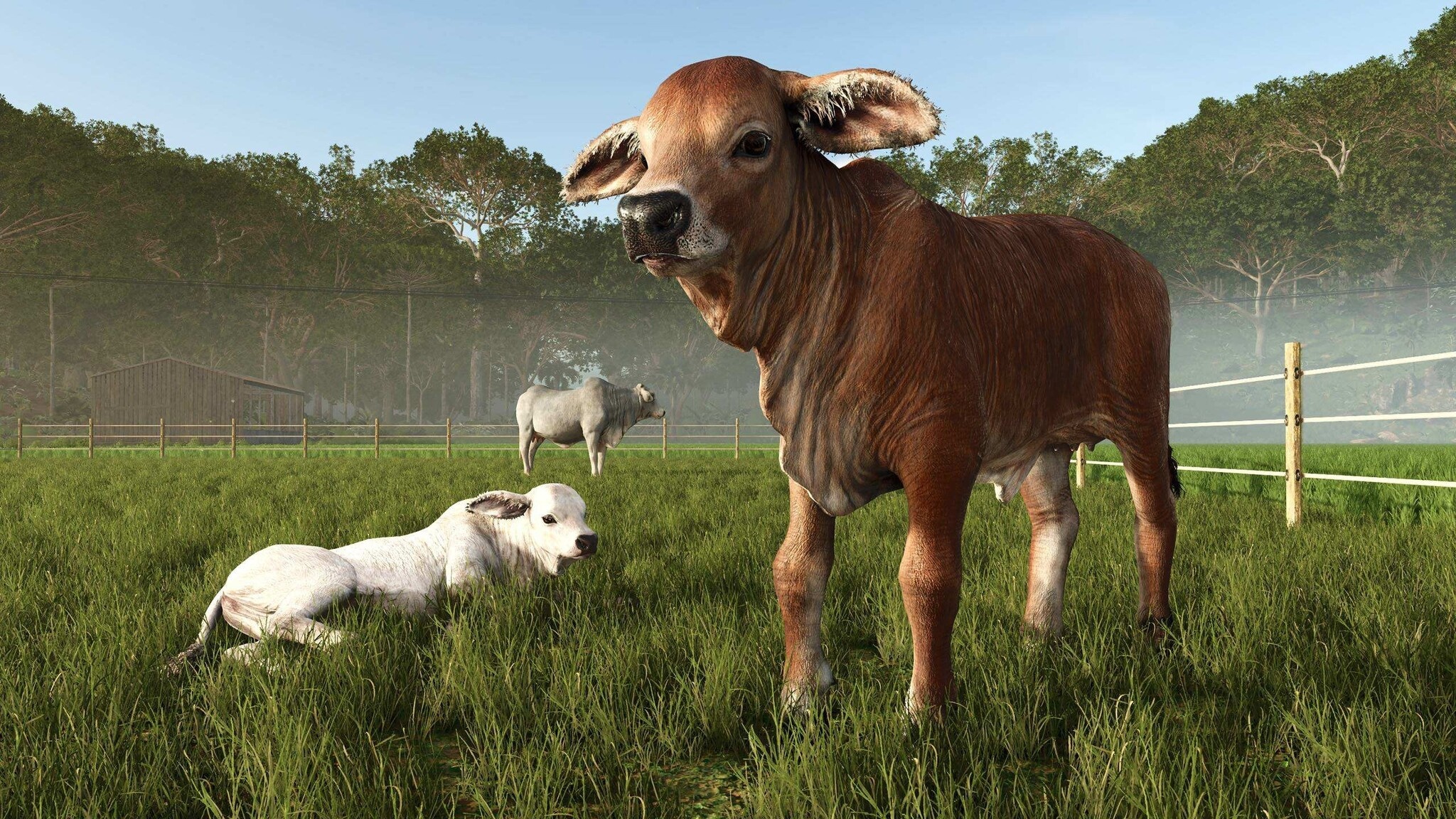 Farming Simulator 25 - Beans & Alpacas Edition - PS5