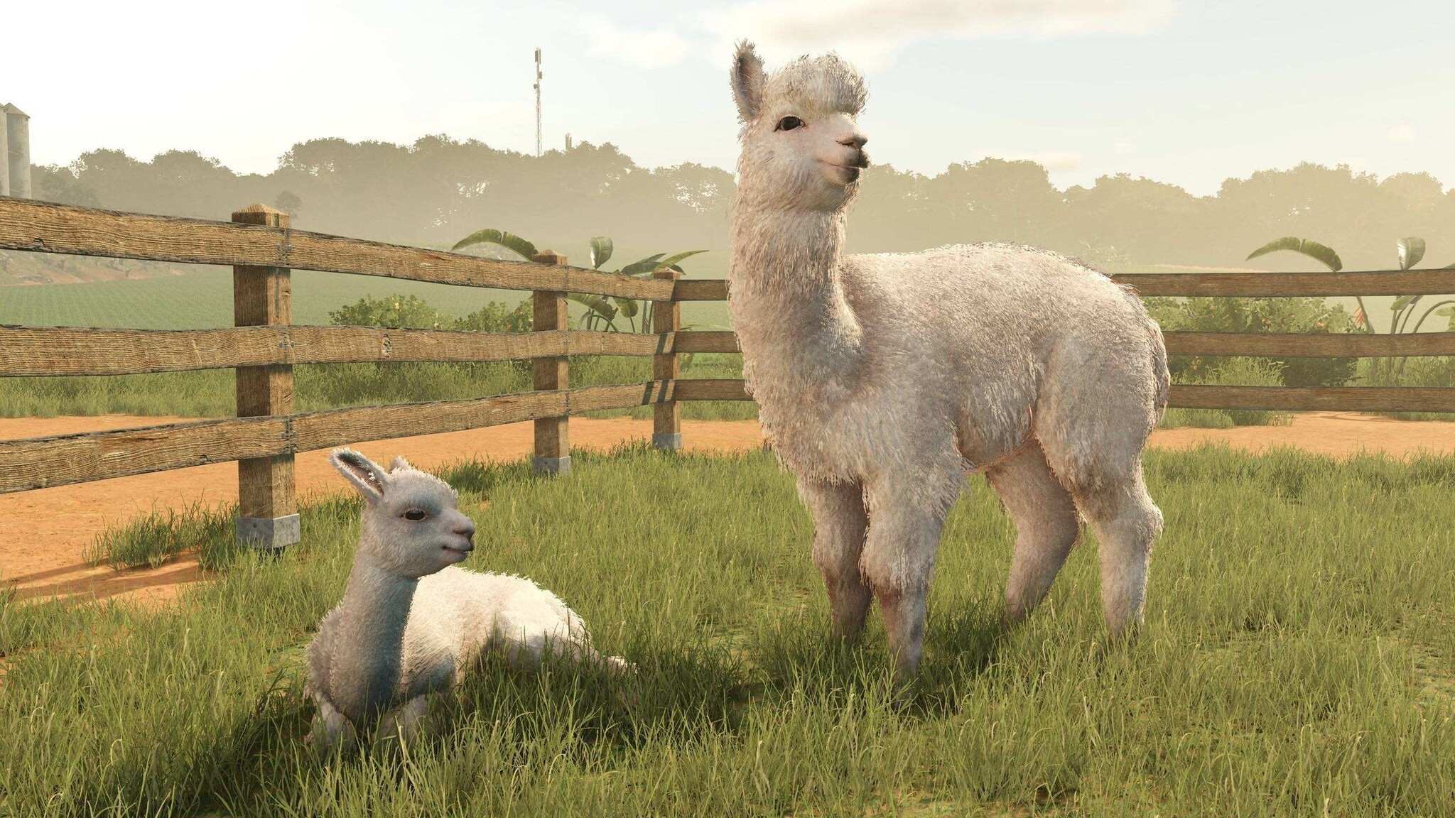 Farming Simulator 25 - Beans & Alpacas Edition - Xbox Series X