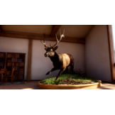 Way of the Hunter 2 - PS5