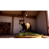 Way of the Hunter 2 - Xbox Series X