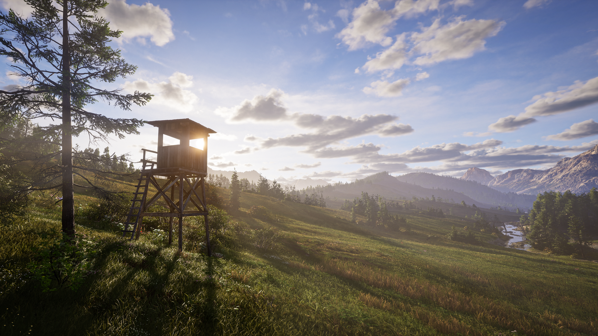 Way of the Hunter 2 - Xbox Series X