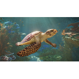 Planet Zoo 2 - PS5