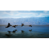 Hunting Simulator 3 - PS5