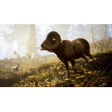 Hunting Simulator 3 - PS5
