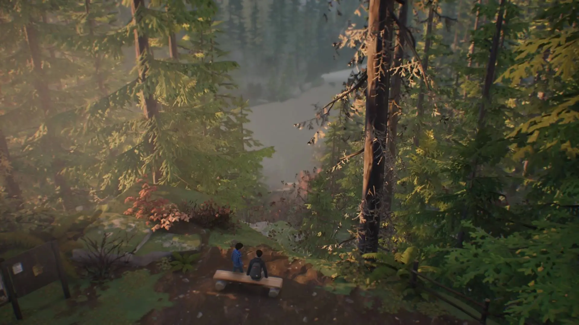 Life is Strange 2 - PS4
