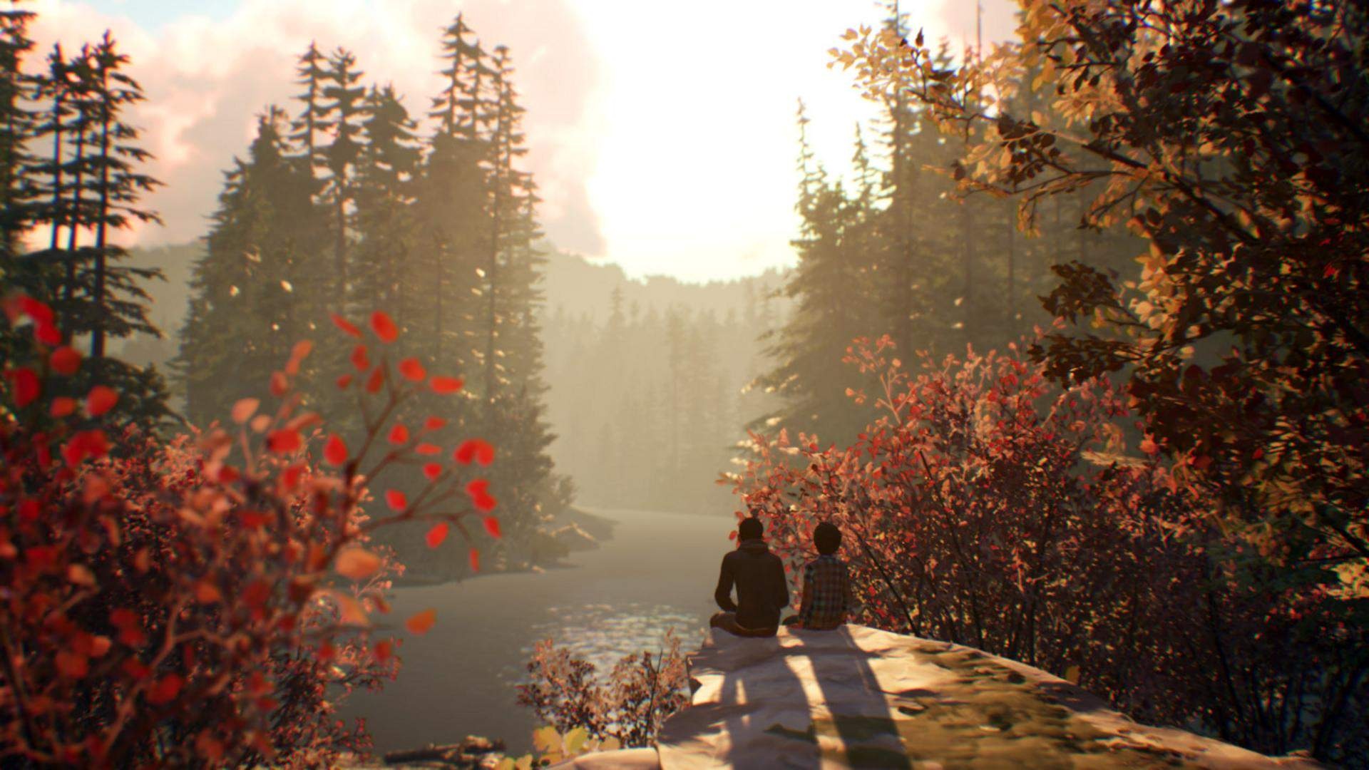 Life is Strange 2 - PS4