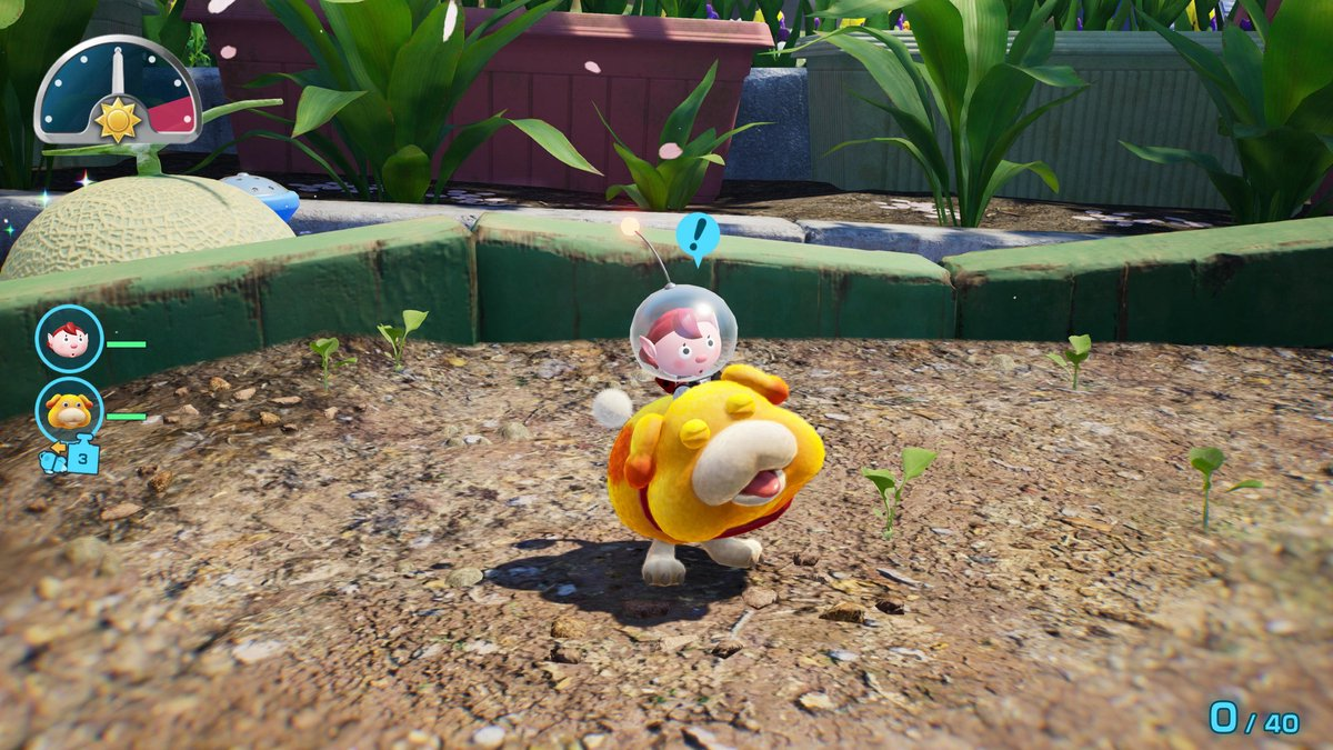 Pikmin 4 + Dandori Academy - Nintendo Switch 2