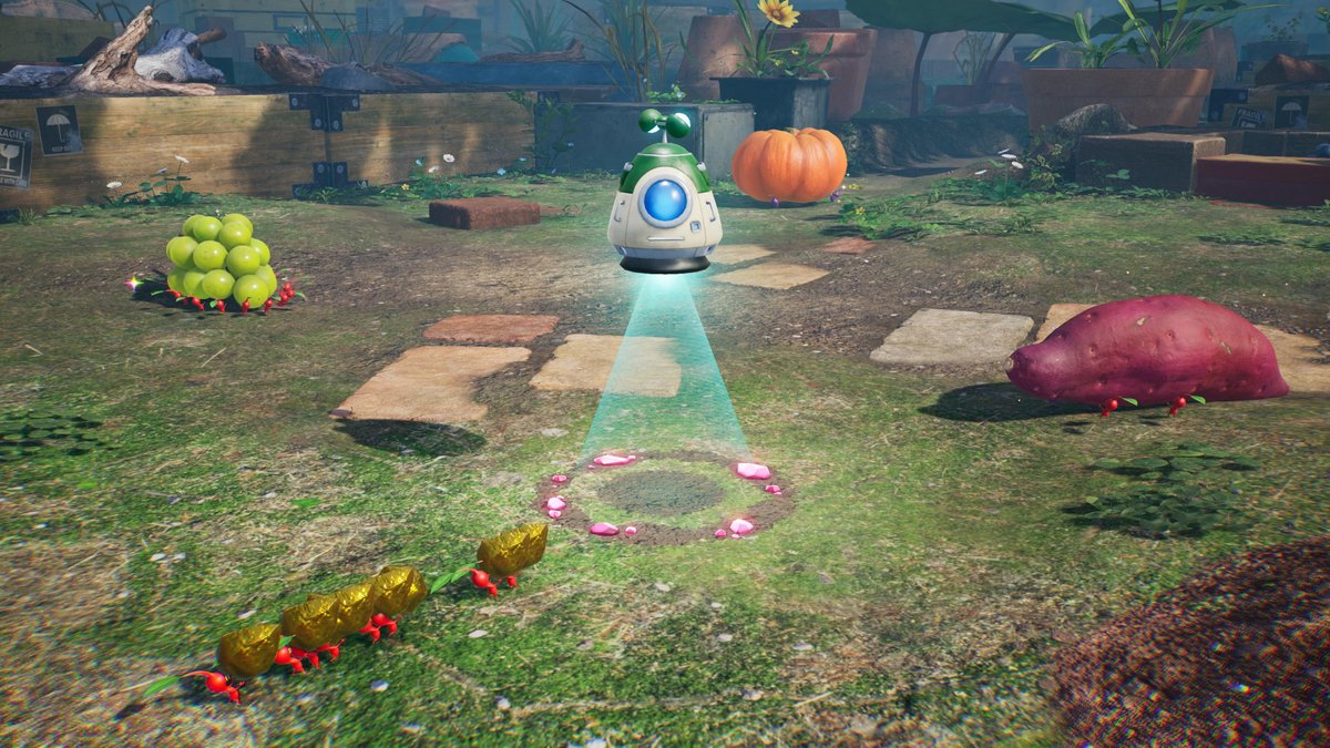 Pikmin 4 + Dandori Academy - Nintendo Switch 2
